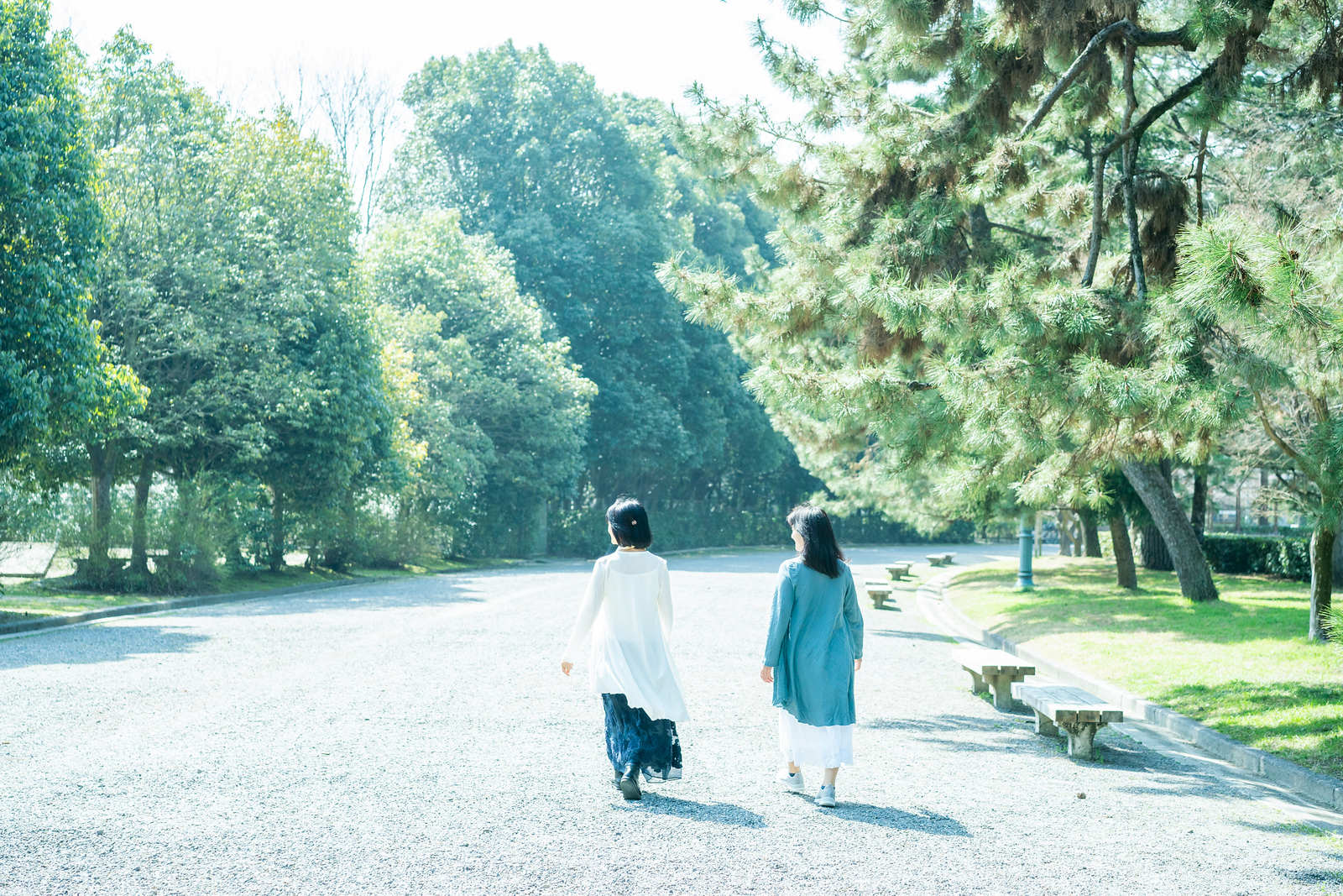 京都さんぽの様子
